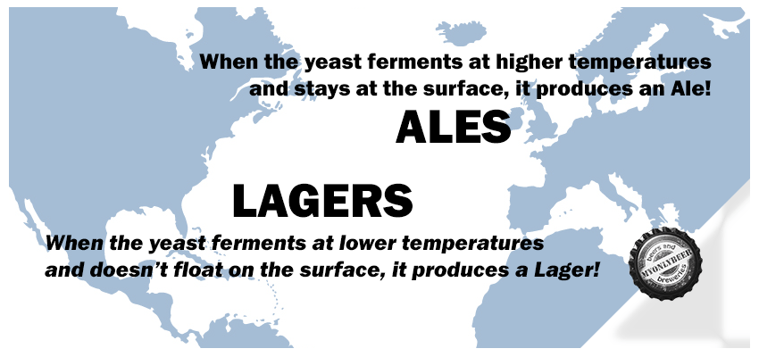 Ales or Lagers?