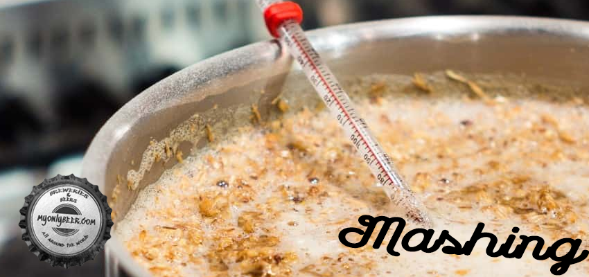 Mashing: first step of the craft brewing process