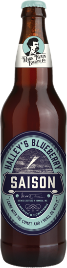 Halley's Blueberry Saison